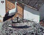 Capi_Dubne_20250814_135503.jpg