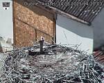 Capi_Dubne_20250814_142003.jpg