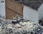 Capi_Dubne_20250814_163504.jpg