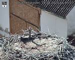 Capi_Dubne_20250814_164504.jpg