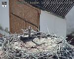 Capi_Dubne_20250814_165004.jpg