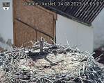 Capi_Dubne_20250814_170503.jpg