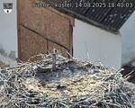 Capi_Dubne_20250814_184003.jpg