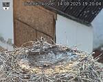 Capi_Dubne_20250814_192004.jpg