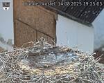 Capi_Dubne_20250814_192503.jpg