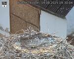 Capi_Dubne_20250814_193004.jpg