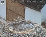 Capi_Dubne_20250814_193503.jpg