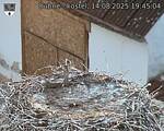 Capi_Dubne_20250814_194504.jpg