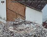 Capi_Dubne_20250814_200003.jpg