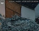 Capi_Dubne_20250814_204004.jpg