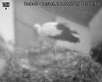 Capi_Dubne_20250814_204504.jpg