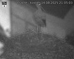 Capi_Dubne_20250814_210503.jpg