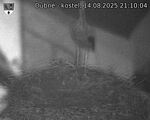 Capi_Dubne_20250814_211004.jpg