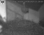 Capi_Dubne_20250814_212003.jpg