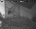 Capi_Dubne_20250814_213503.jpg