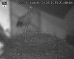 Capi_Dubne_20250814_214004.jpg