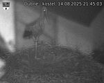 Capi_Dubne_20250814_214503.jpg