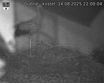 Capi_Dubne_20250814_220004.jpg