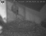 Capi_Dubne_20250814_222003.jpg