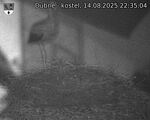 Capi_Dubne_20250814_223504.jpg