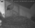 Capi_Dubne_20250814_224003.jpg