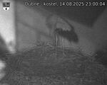 Capi_Dubne_20250814_230004.jpg