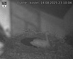 Capi_Dubne_20250814_231004.jpg
