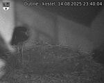Capi_Dubne_20250814_234004.jpg