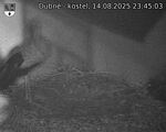 Capi_Dubne_20250814_234503.jpg