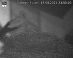 Capi_Dubne_20250814_235503.jpg