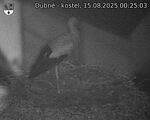 Capi_Dubne_20250815_002503.jpg