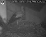 Capi_Dubne_20250815_004003.jpg
