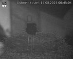 Capi_Dubne_20250815_004504.jpg