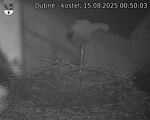 Capi_Dubne_20250815_005003.jpg