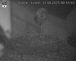 Capi_Dubne_20250815_005503.jpg