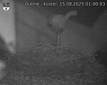 Capi_Dubne_20250815_010003.jpg