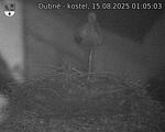 Capi_Dubne_20250815_010503.jpg
