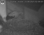 Capi_Dubne_20250815_020003.jpg
