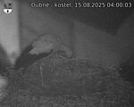 Capi_Dubne_20250815_040004.jpg