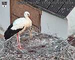 Capi_Dubne_20250815_055004.jpg