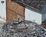 Capi_Dubne_20250815_113504.jpg