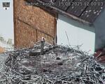 Capi_Dubne_20250815_120003.jpg
