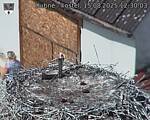 Capi_Dubne_20250815_123003.jpg