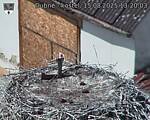 Capi_Dubne_20250815_132003.jpg