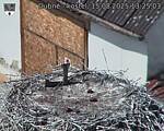 Capi_Dubne_20250815_132503.jpg