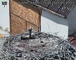 Capi_Dubne_20250815_134503.jpg
