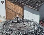 Capi_Dubne_20250815_135003.jpg