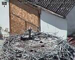 Capi_Dubne_20250815_144503.jpg