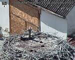 Capi_Dubne_20250815_150503.jpg