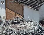 Capi_Dubne_20250815_154503.jpg